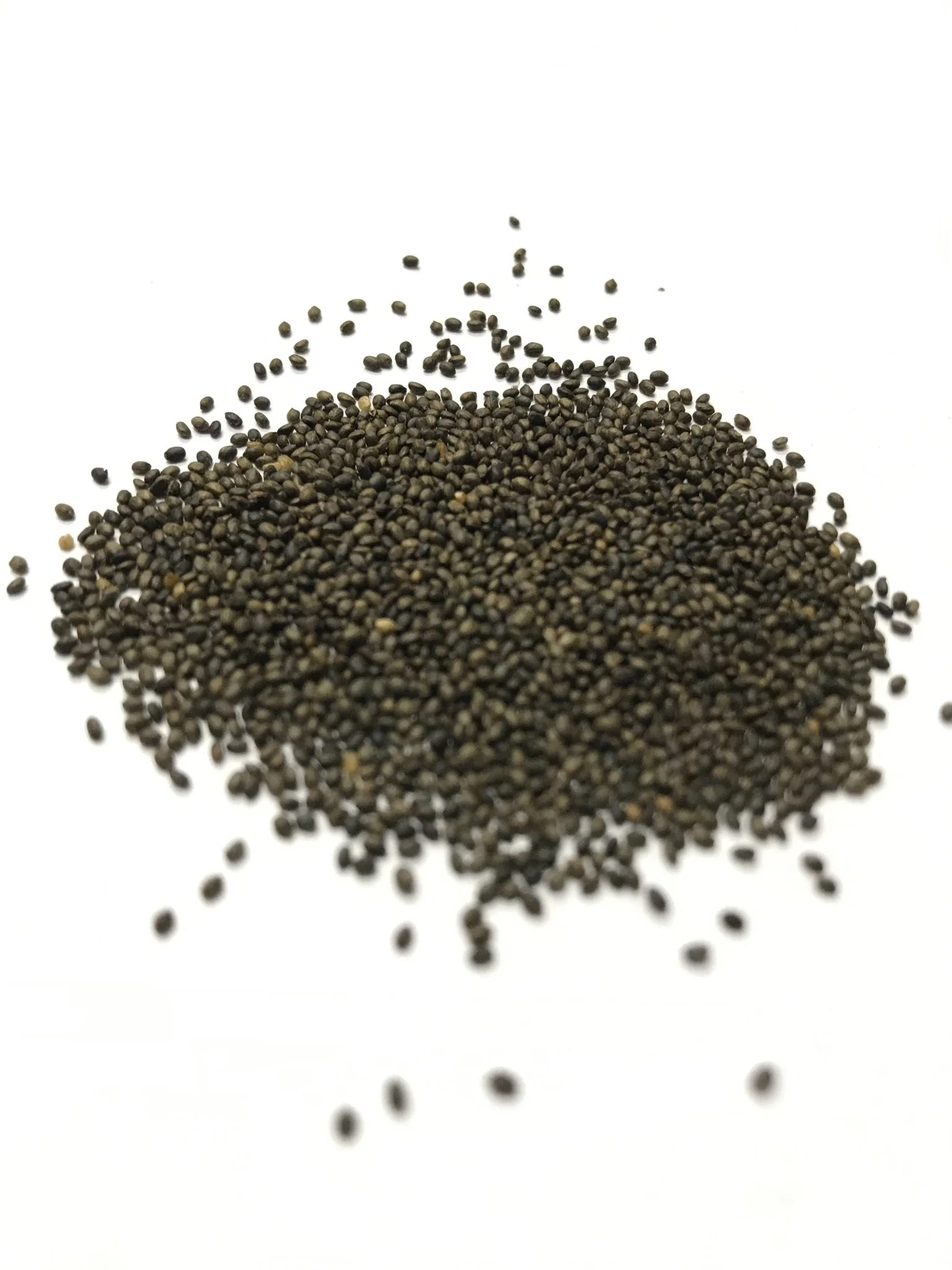 Savory - 3518 - Image 2